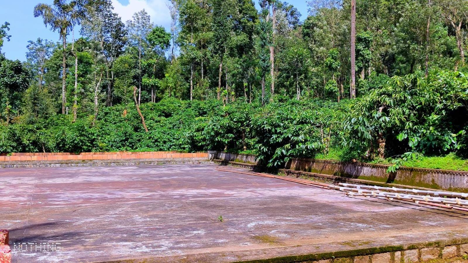 Coorg Divine Spark Home Stay Suntikoppa المظهر الخارجي الصورة